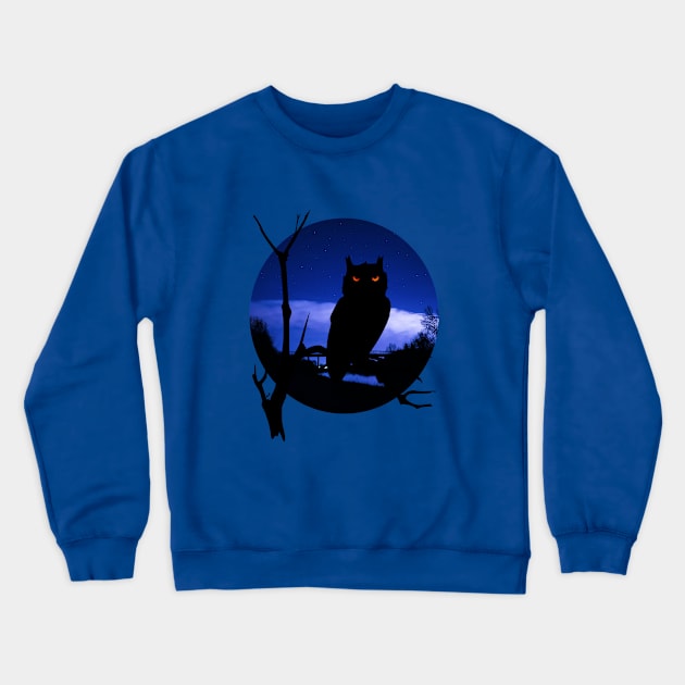 Night owl Crewneck Sweatshirt by Sinmara